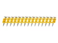 DeWalt Gwoździe do DCN890 2,6x40mm /1005szt DCN8901040